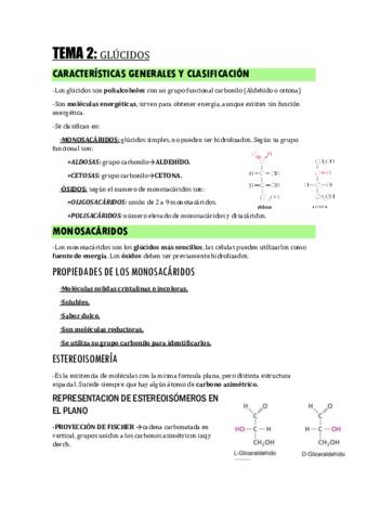 TEMA-2.pdf