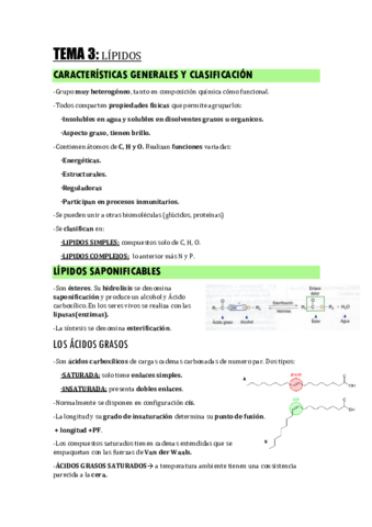 TEMA-3.pdf