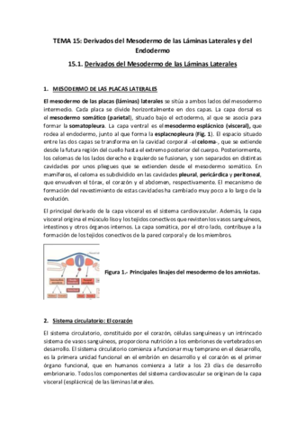TEMA-15Texto-y-preguntas.pdf