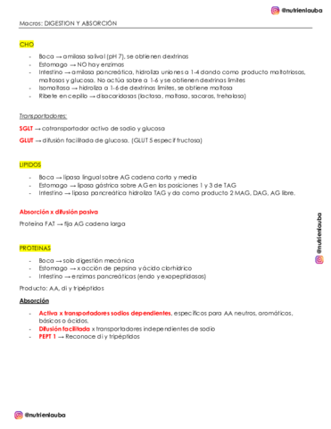 MACROS-ABSORCION-Y-DIGESTION.pdf