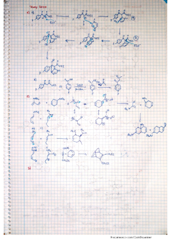 Solucions-Examens-Quimica-Organica-III.pdf