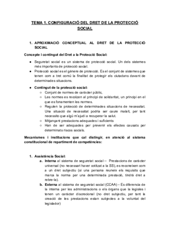 APUNTS-DRET-A-LA-PROTECCIO-SOCIAL-I.pdf