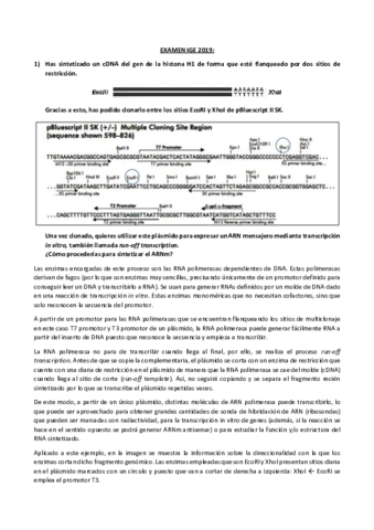 EXAMEN-IGE-2019.pdf
