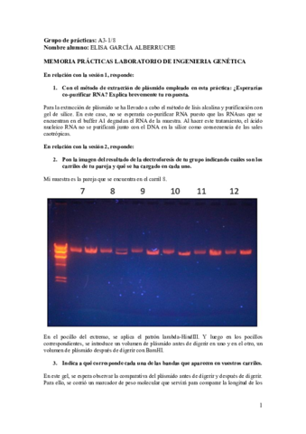 Memoria-Practicas-IGE-Elisa-Garcia.pdf