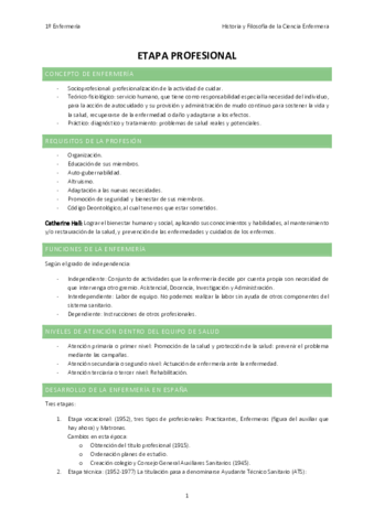 6-ETAPA-PROFESIONAL.pdf