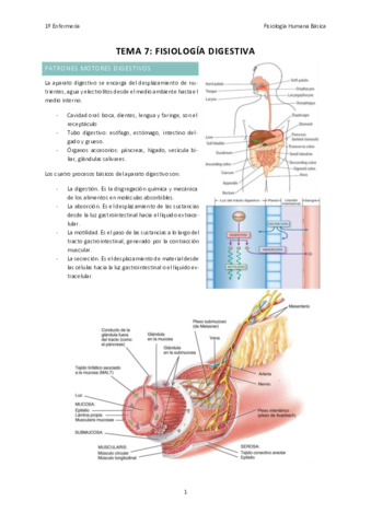 TEMA-7-FISIOLOGIA.pdf