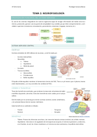 TEMA-2-FISIOLOGIA.pdf