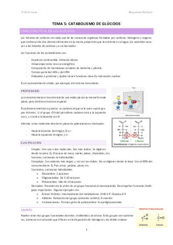 TEMA-5-CATABOLISMO-DE-LOS-GLUCIDOS.pdf