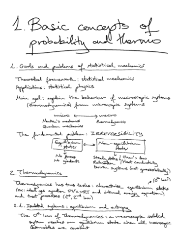 Fisica-estadistica.pdf