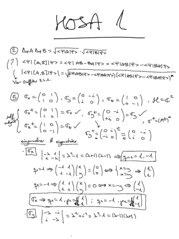 Fisica-cuantica-ejs.pdf