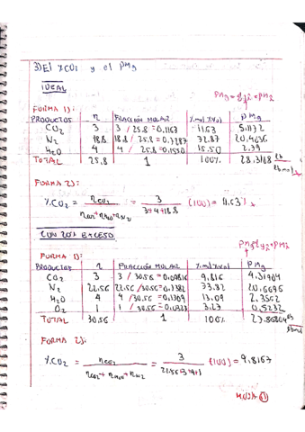 ejppChavezCastelloCelestinoNicolas-11-24.pdf