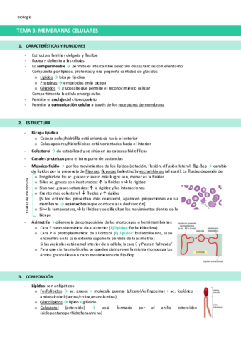 TEMA-3-Membranas-celulares.pdf