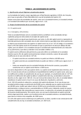 Tema 8. LAS SOCIEDADES DE CAPITAL.pdf