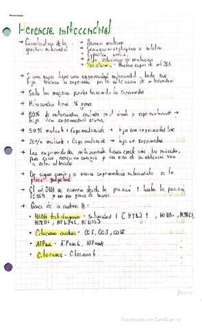 HERENCIA-MITOCONDRIAL.pdf