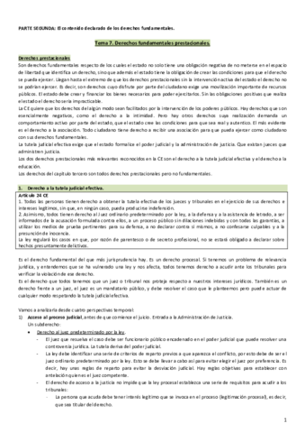 Tema-7-consti.pdf