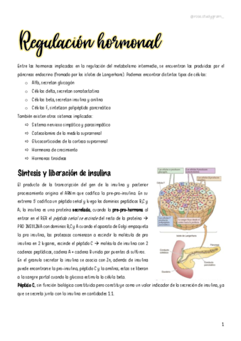 T22-Regulacion-hormonal-del-metabolismo-intermedio.pdf