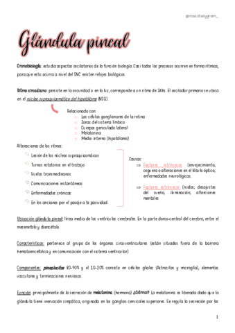 T13-Glandula-Pineal.pdf