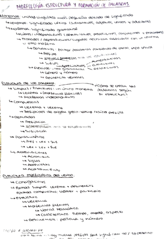 morfologia-estructura-palabra-esquema.pdf