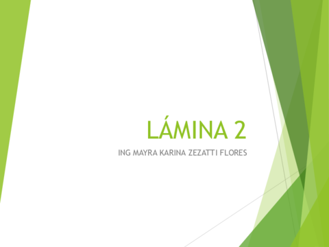 02LAMINALINEAS-MIXTAS.pdf