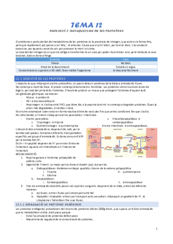 tema-12-nutricio-i-metabolisme-de-proteines.pdf