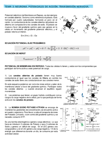 TEMA-1.pdf