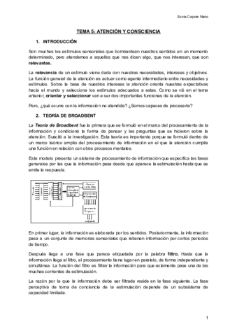 TEMA-5-ATENCION-Y-CONSCIENCIA-Documentos-de-Google.pdf