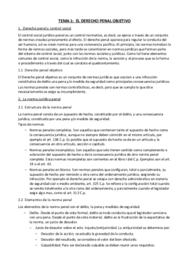 Tema 1. EL DERECHO PENAL OBJETIVO.pdf