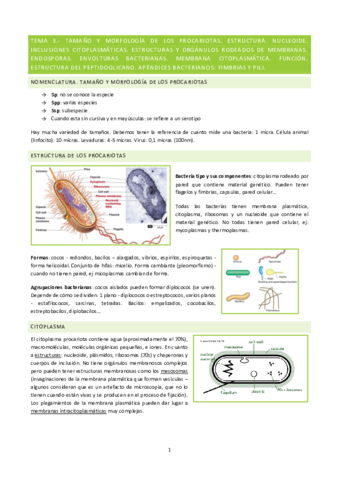 Micro-Tema-3.pdf