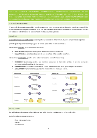 Micro-tema-16.pdf