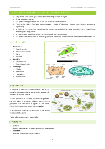 Micro-Tema14.pdf