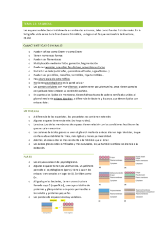 Micro-Tema-13.pdf