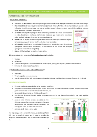 Micro-tema-11.pdf