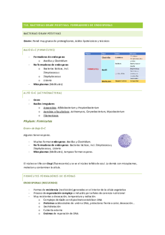 Micro-tema-12.pdf