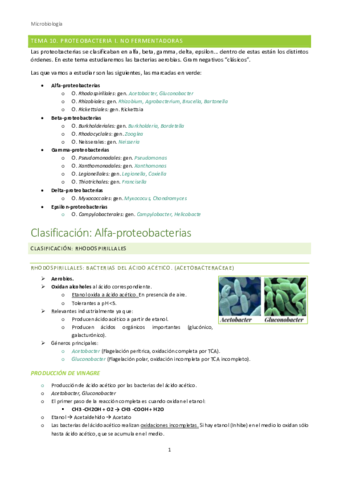 Micro-Tema10.pdf