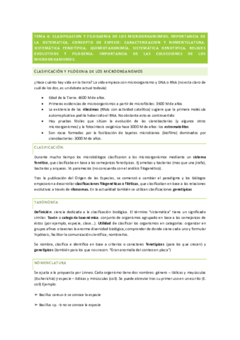 Micro-Tema-8.pdf