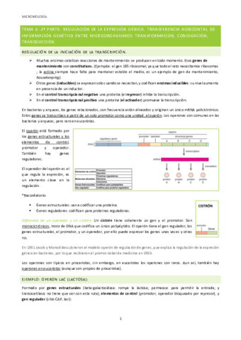 Micro-T6-2o-parte.pdf