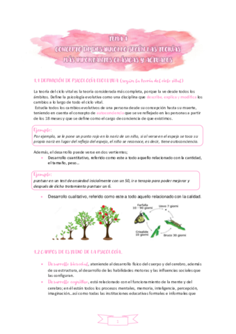 TEMA-1-PSICOLOGIA-DEL-DESARROLLO.pdf