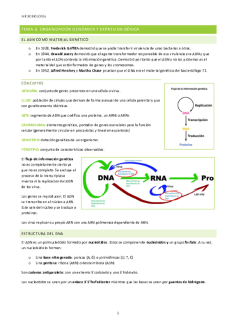 Micro-Tema-6.pdf
