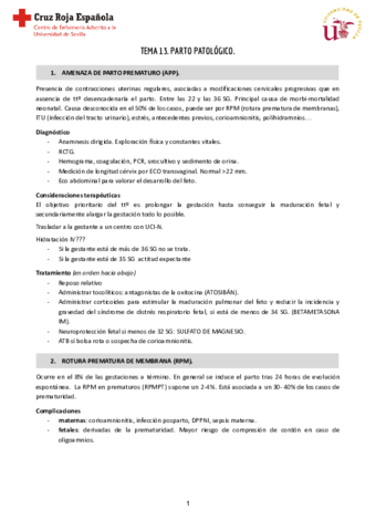 Tema-13-Reproductiva-1.pdf