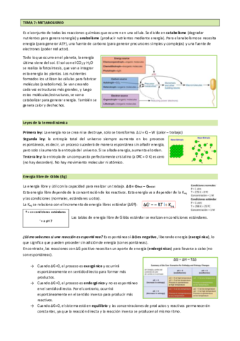 Micro-Tema-7.pdf