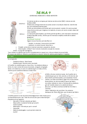 tema-9-sistema-nervios-i-dels-sentits.pdf
