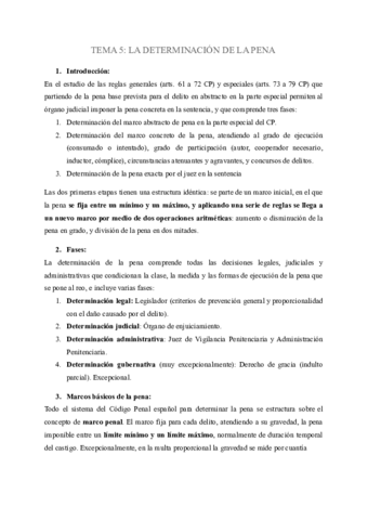 TEMA-5-5.pdf