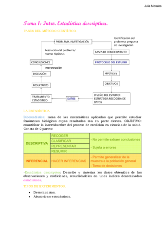 Tema-1-Estadistica-Magistral.pdf