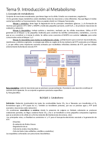 Tema-9.pdf