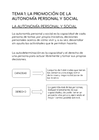 TEMA-1-PROMOCION.pdf