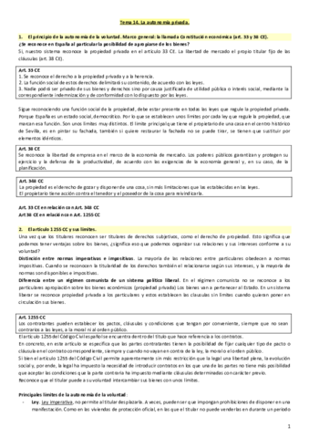 Tema-14-civil.pdf