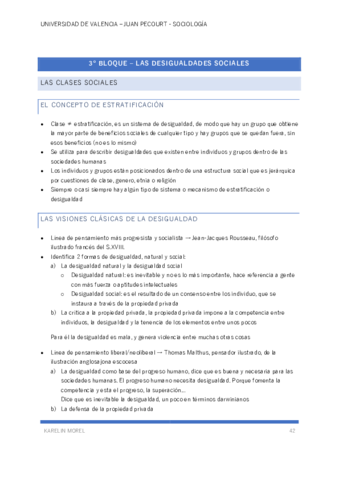 Sociologia-apuntes-T3.pdf
