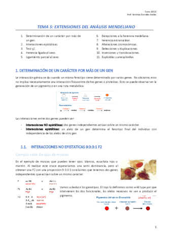 GN-Tema-5.pdf