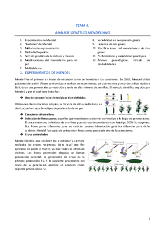 GN-Tema-4.pdf