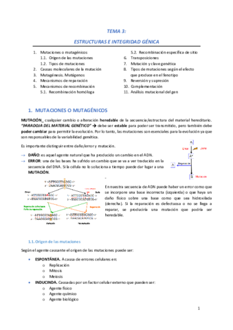GN-Tema-3.pdf